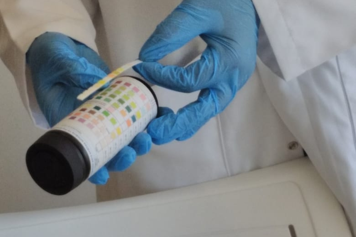 No Dia Mundial do Rim, Ultra-X oferece exame gratuito